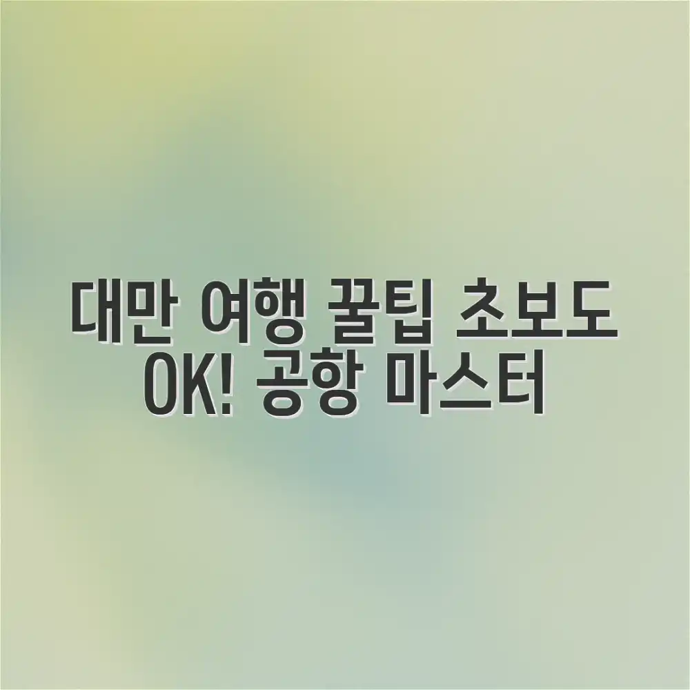 대만 여행 공항, 초보도 금방!