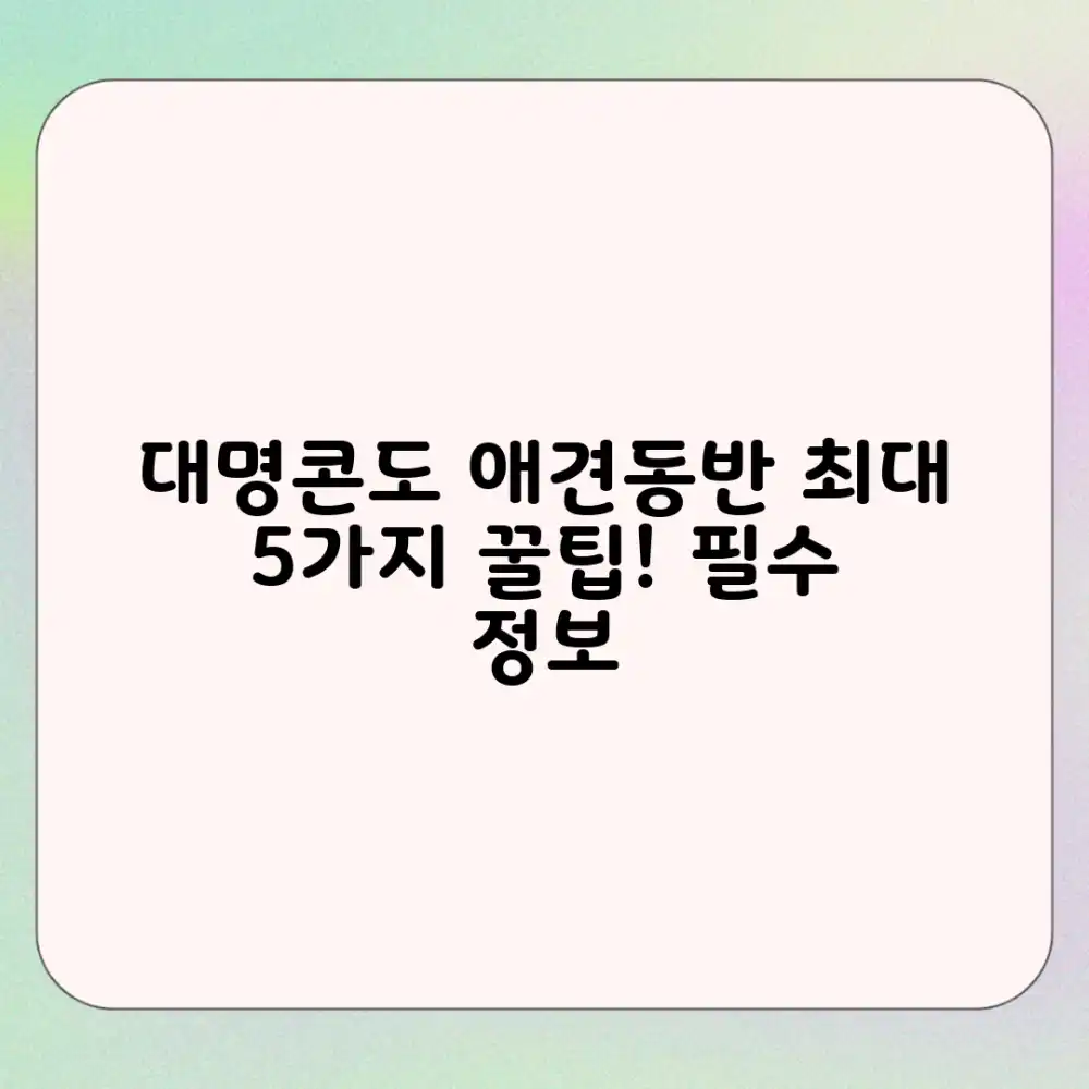 대명콘도 애견동반 5가지 꿀팁!